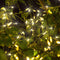 Christmas Lights, UL Certified 100ft 300 LED Mini Christmas Tree String Lights - famlighting