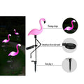 detail of solar flamingo