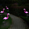 pink flamingo solar lights